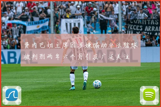 费内巴切主席因涉嫌煽动非法赌球被判刑两年六个月引发广泛关注
