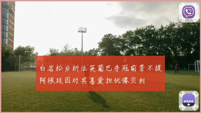 白岩松分析法英葡巴夺冠前景不提阿根廷因对其喜爱担忧像贝利